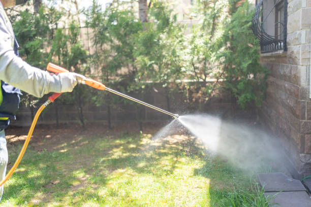 Outdoor Pest Control in Lawtell, LA